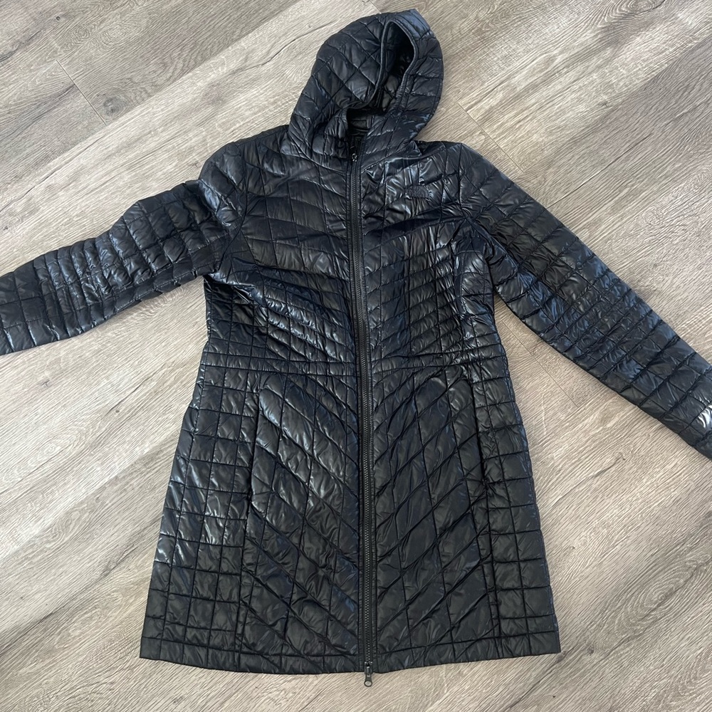 The north face coat